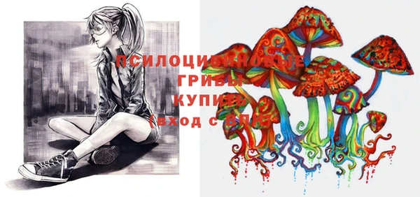 спиды Алексин