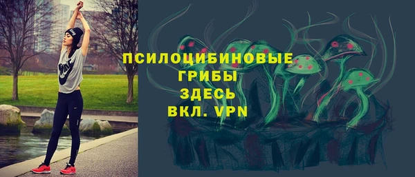 спиды Алексин