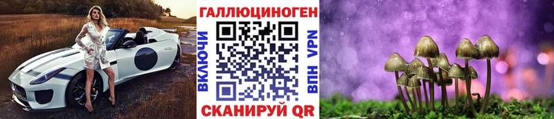 OMG   Красноуральск  Псилоцибиновые грибы мухоморы 